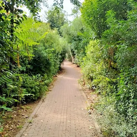 Fronte Del Golf * Rapallo