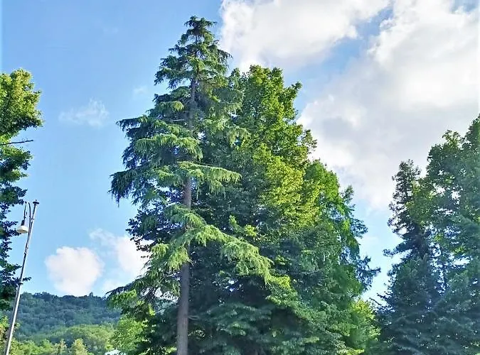 Apartmán Fronte Del Golf Rapallo