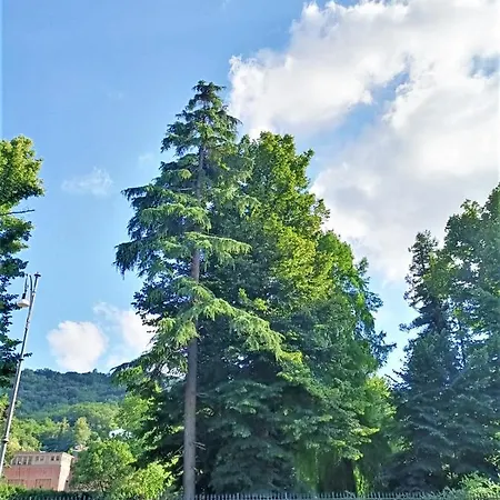 公寓 Fronte Del Golf 拉帕洛