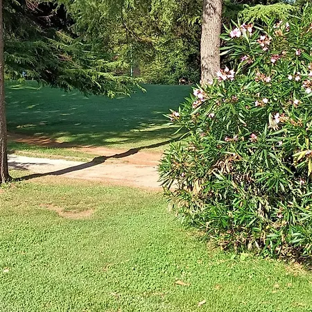 Apartment Fronte Del Golf