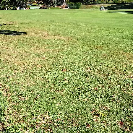 公寓 Fronte Del Golf 拉帕洛