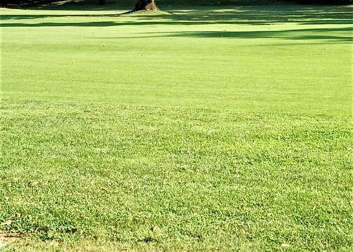 Fronte Del Golf Daire Rapallo