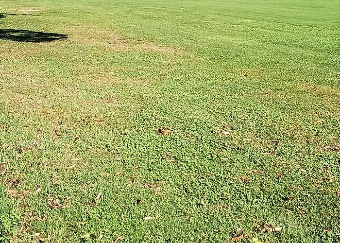 Daire Fronte Del Golf Rapallo